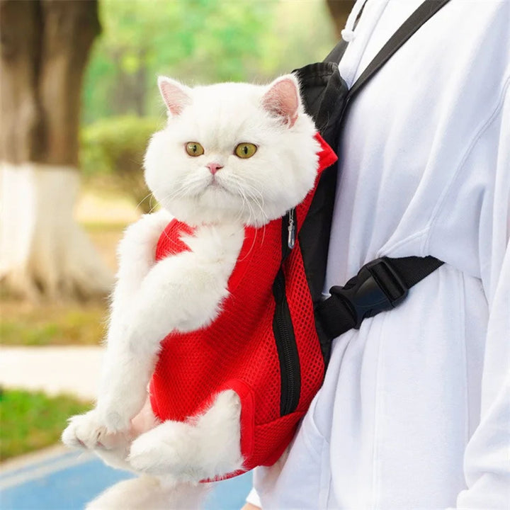 Pet Carrier for Cats and Small Dogs | Comfortable Travel for Your Furry Friend