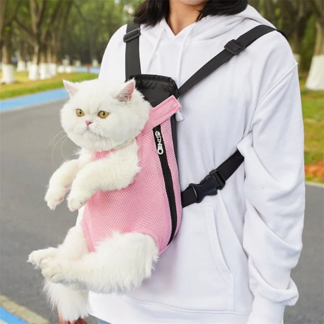 Pet Carrier for Cats and Small Dogs | Comfortable Travel for Your Furry Friend