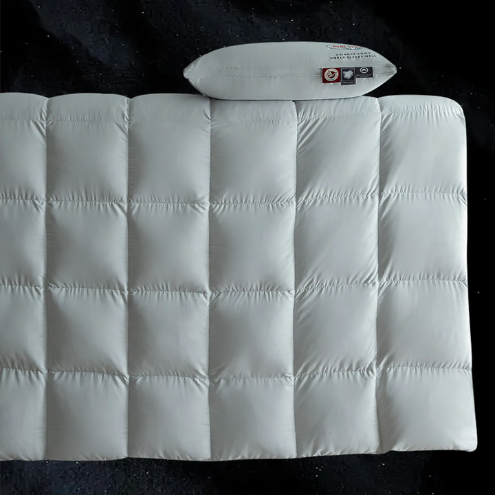 Pure Cotton Goose Down Winter Duvet