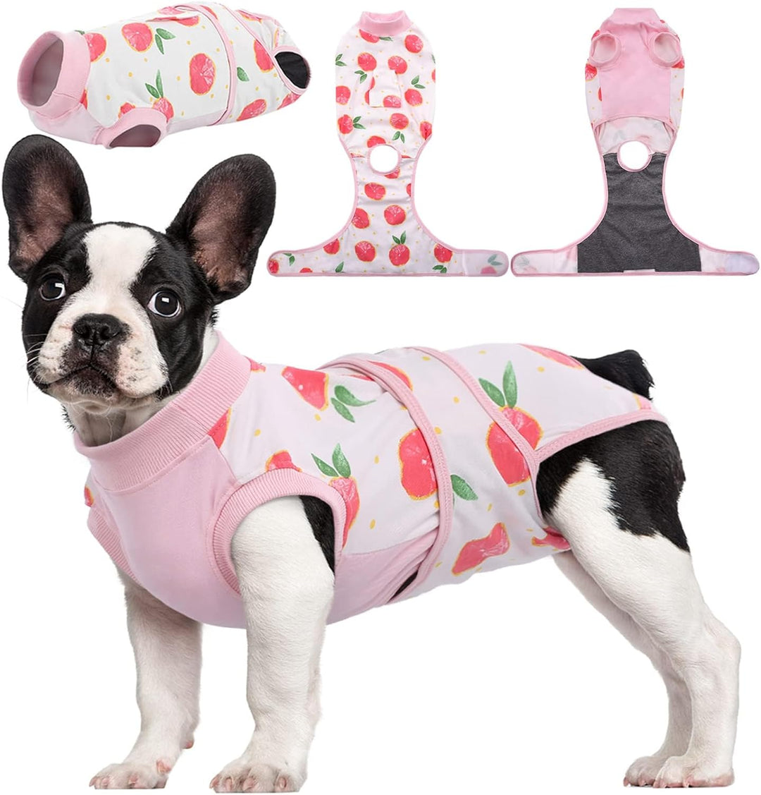 Quick Recovery Suit for Pets – Healing After Surgery