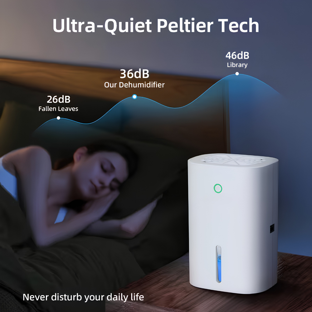 Quiet Portable Dehumidifier for Basements, Bathrooms and Small Rooms