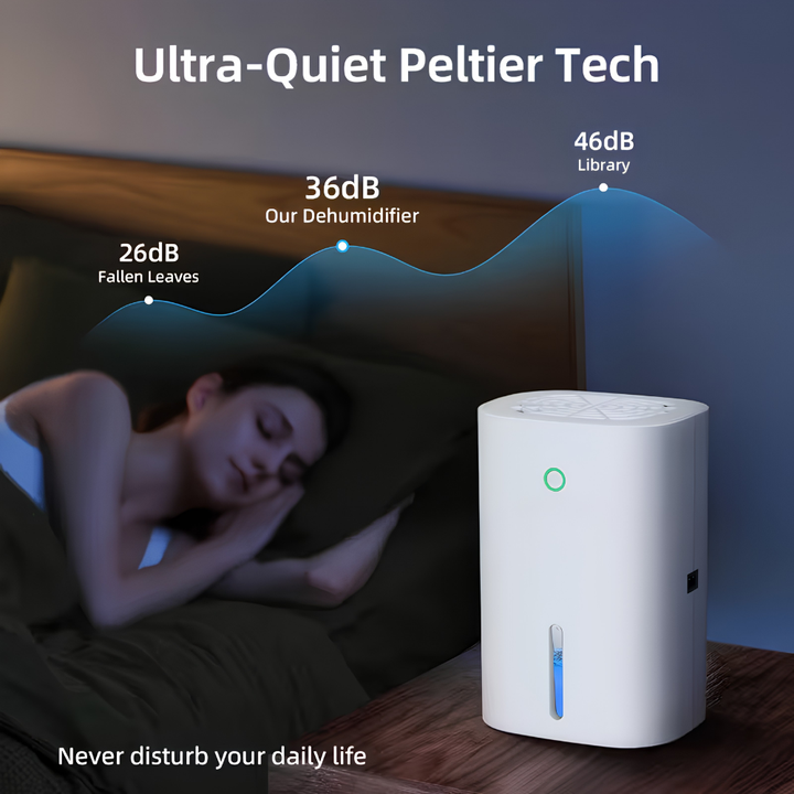 Quiet Portable Dehumidifier for Basements, Bathrooms and Small Rooms