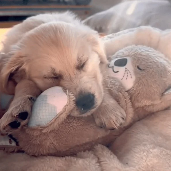 Realistic Breathing Plush Toy for Dogs | Max