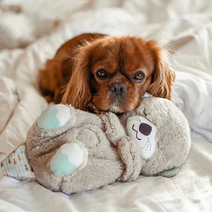 Realistic Breathing Plush Toy for Dogs | Max