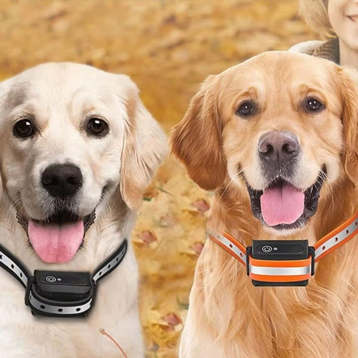 Rechargeable IP67 Waterproof Dog Training Collar with 1000m Range and 3 Modes