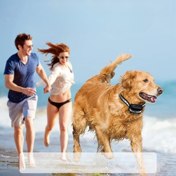 Rechargeable IP67 Waterproof Dog Training Collar with 1000m Range and 3 Modes