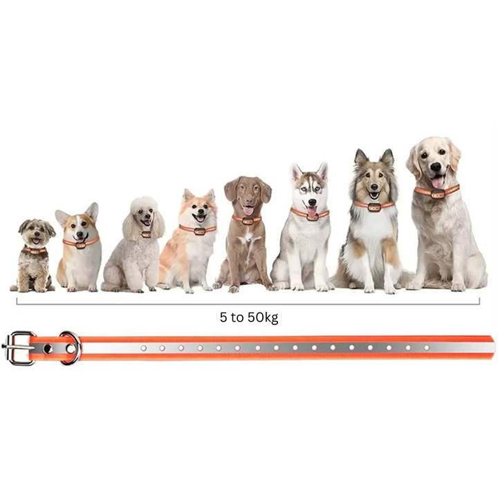 Rechargeable IP67 Waterproof Dog Training Collar with 1000m Range and 3 Modes