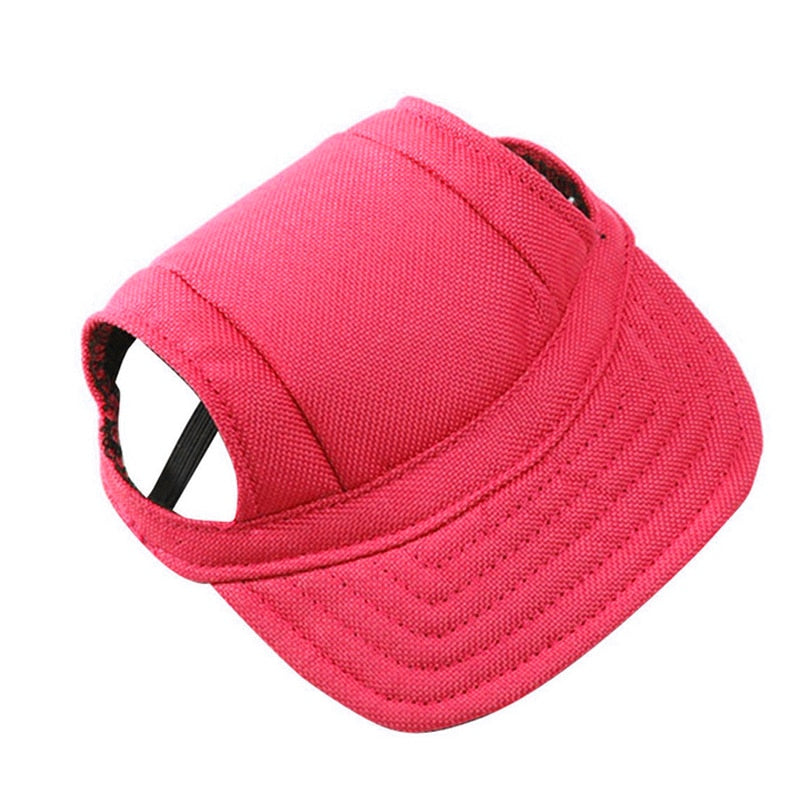 Round Edge Dog Hat