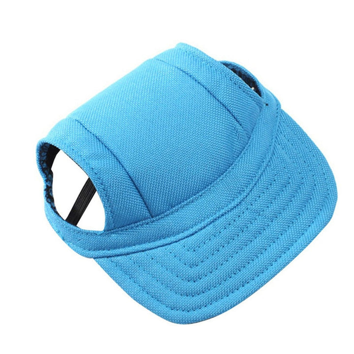 Round Edge Dog Hat