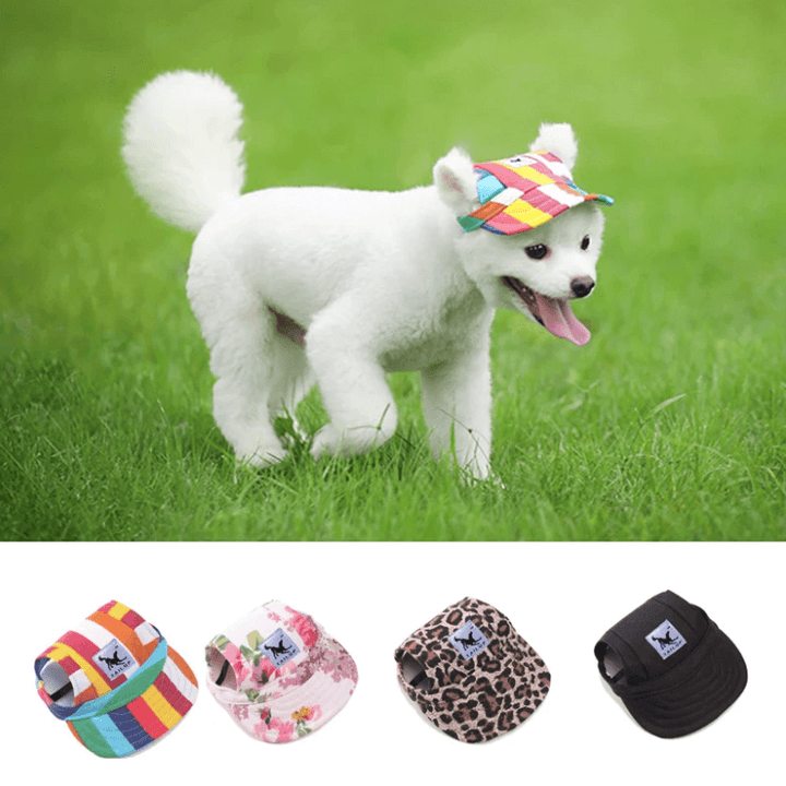 Round Edge Dog Hat