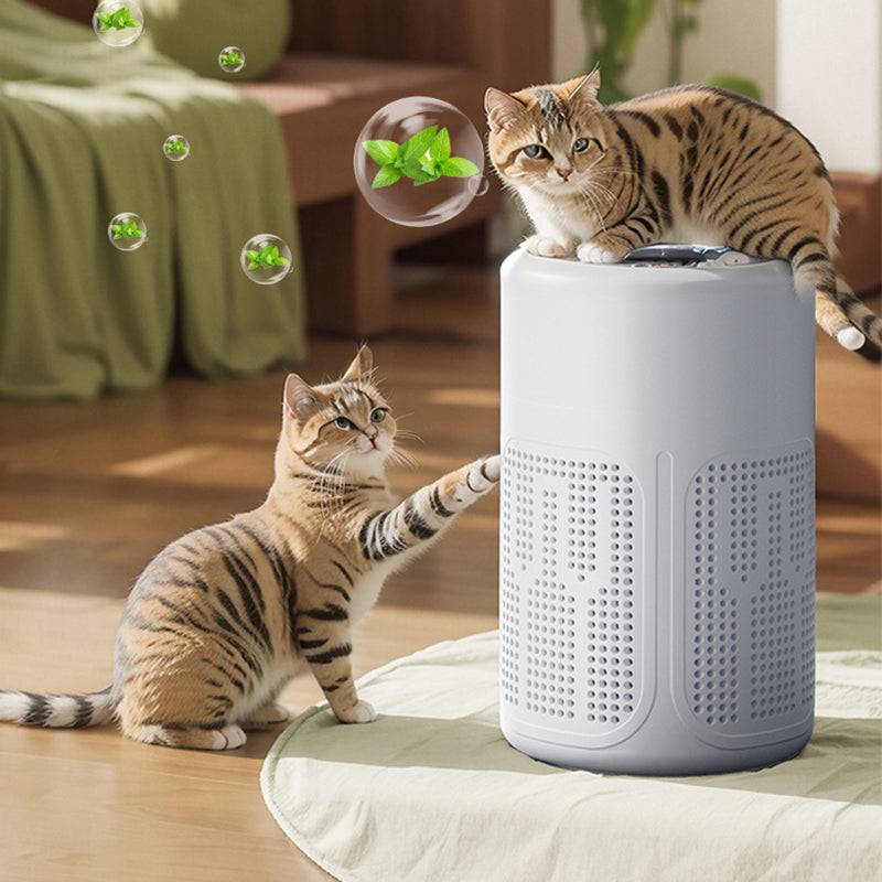 Smart Portable Quiet Air Purifier