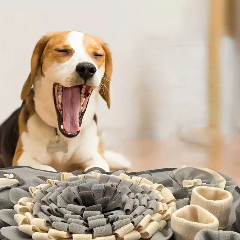 Snuffle Mat