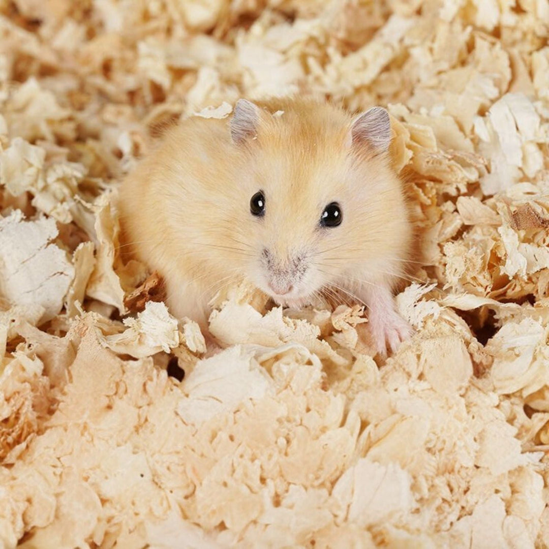 Soft Wood Shavings | Absorption &amp; Odor Control