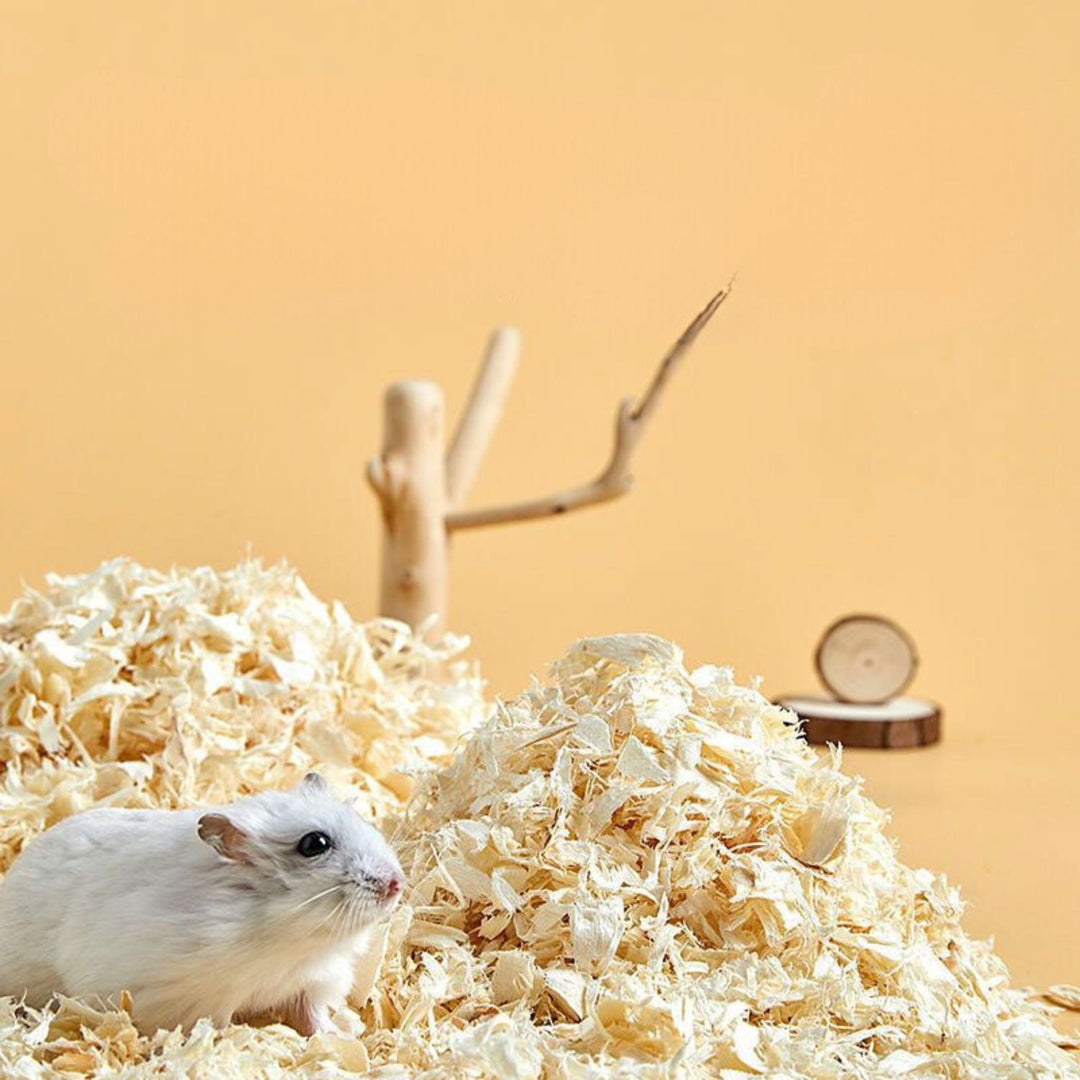 Soft Wood Shavings | Absorption &amp; Odor Control