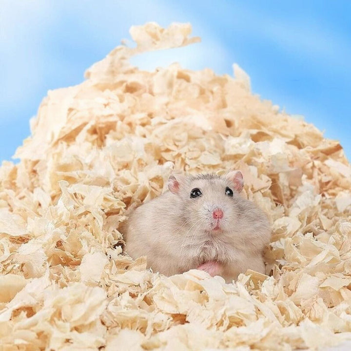 Soft Wood Shavings | Absorption &amp; Odor Control