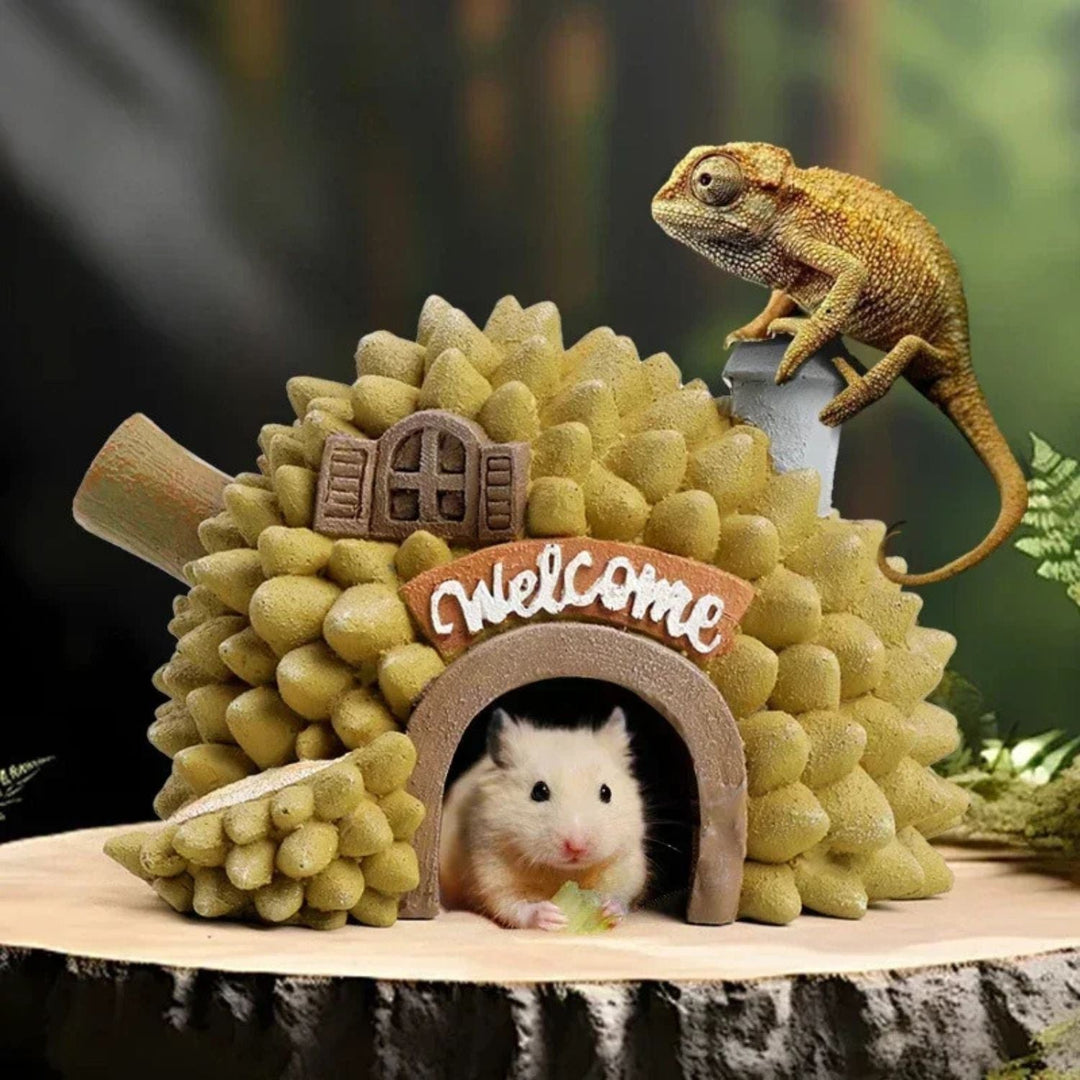 Tropical Aquarium Decoration
