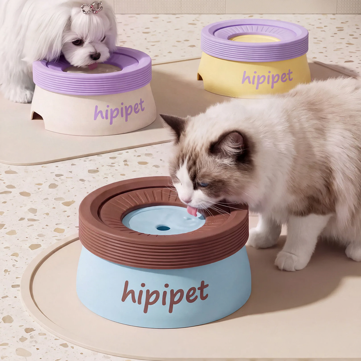 Two-Tone Pet Water Bowl for Cats and Dogs