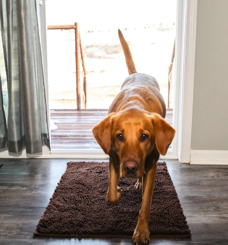 Ultra-Absorbent and Non-Slip Washable Microfiber Dog Mat - PawDry