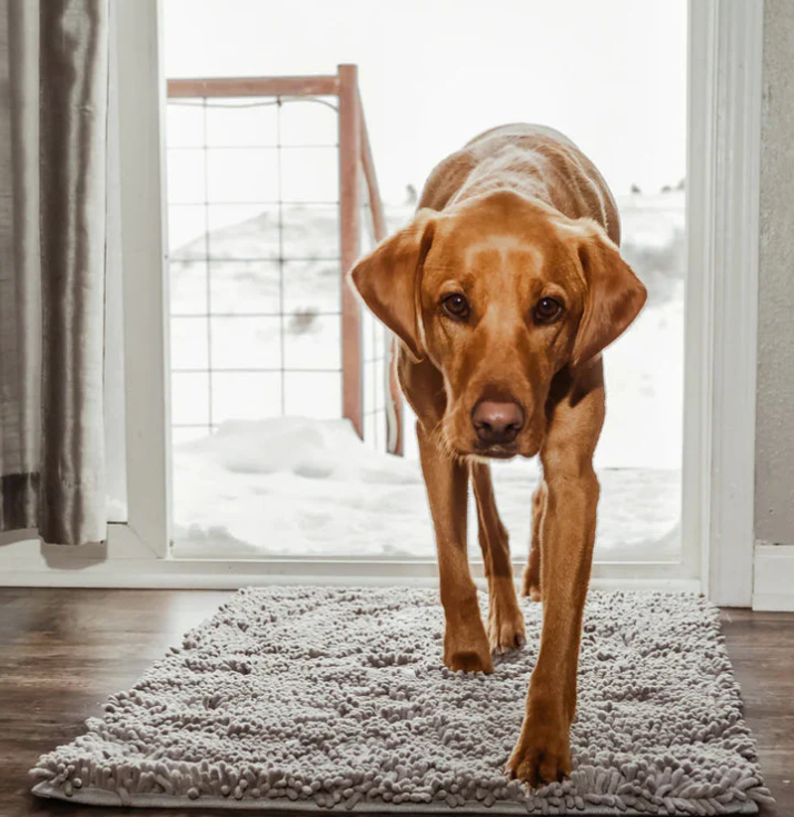 Ultra-Absorbent and Non-Slip Washable Microfiber Dog Mat - PawDry