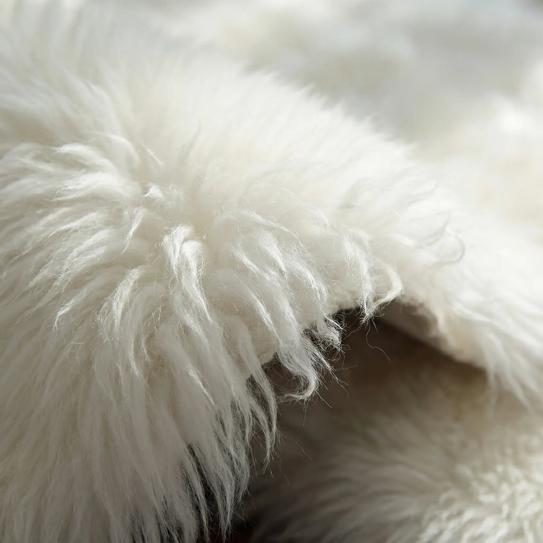 Ultra Plush Area Rug