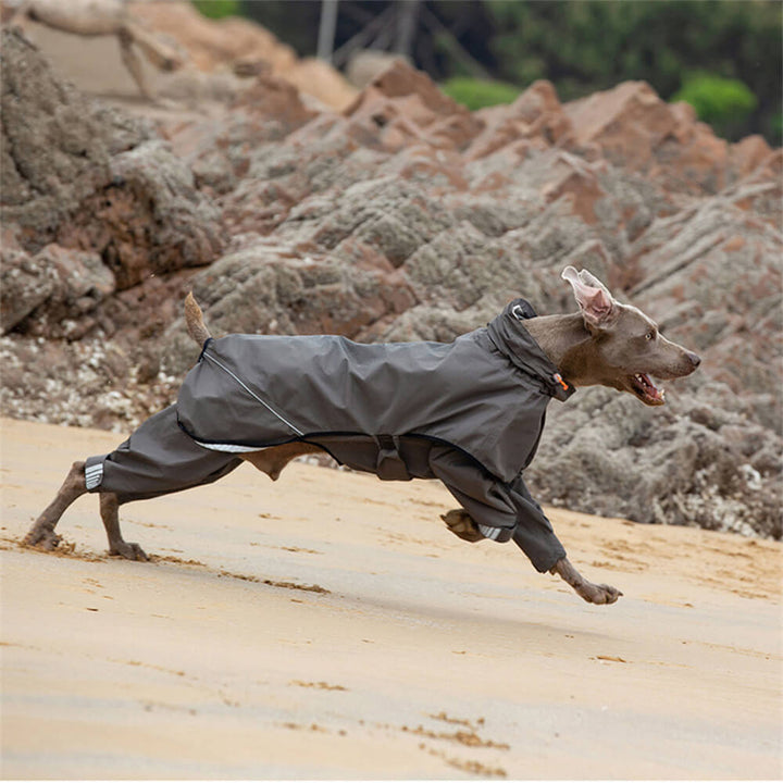 Waterproof Raincoat for Dogs with Four Legs and Reflective Pattern Hood