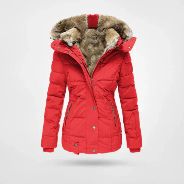 Waterproof Winter Jacket