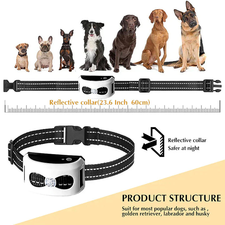 Wireless Fence &amp; Training Collar 2-in-1 - Waterproof &amp; Rechargeable